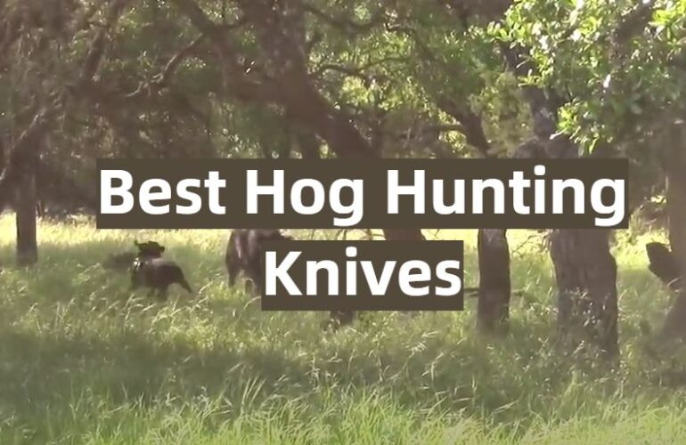 Top 5 Best Hog Hunting Knives [2021 Review] HuntingProfy