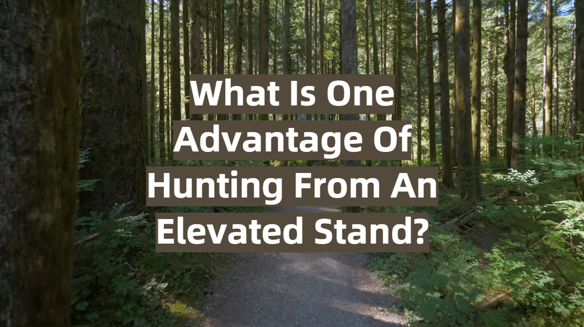 What Is One Advantage Of Hunting From An Elevated Stand?