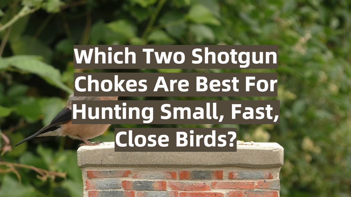 Which Two Shotgun Chokes Are Best For Hunting Small, Fast, Close Birds?