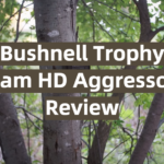 Bushnell Trophy Cam HD Aggressor Review