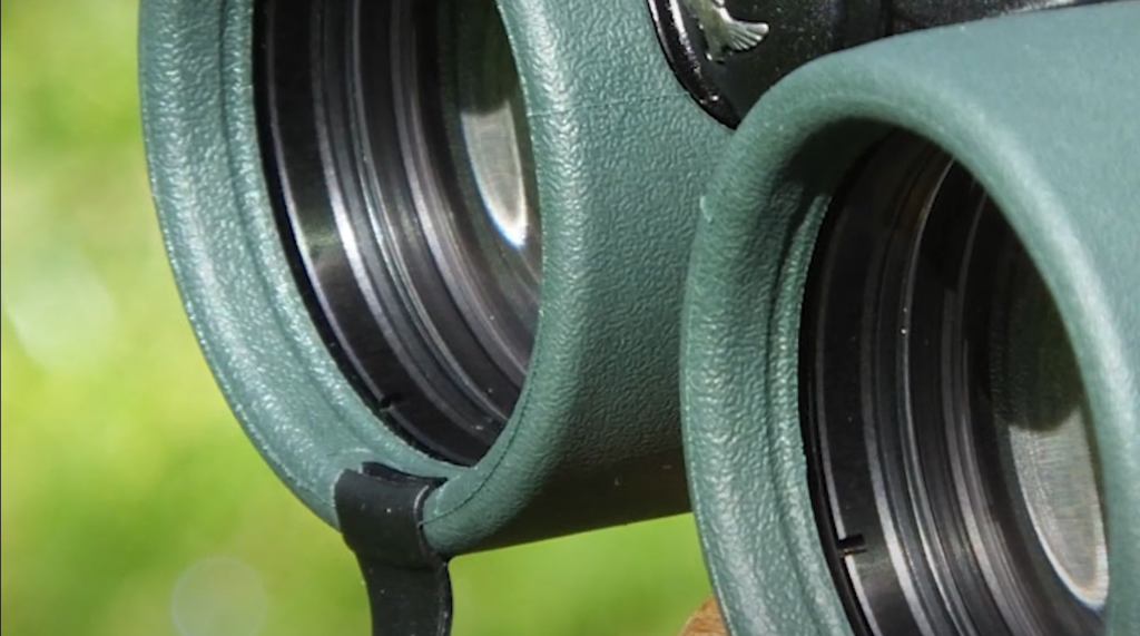 Is the Carson 8x32mm Binocular for you?