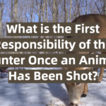 What is the First Responsibility of the Hunter Once an Animal Has Been Shot?