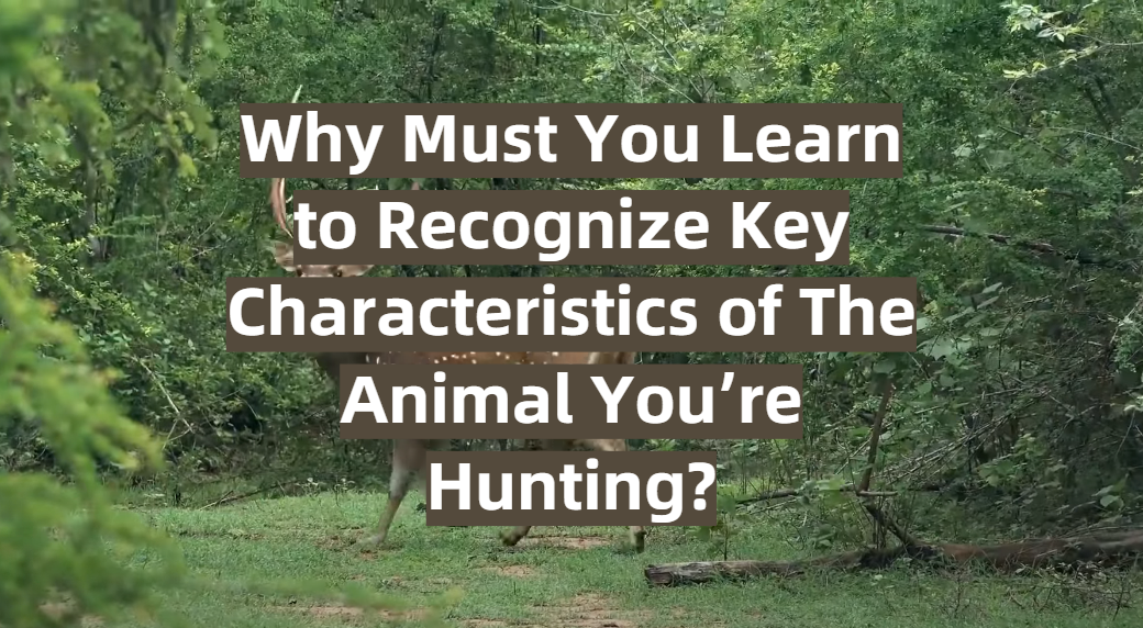 Why Must You Learn to Recognize Key Characteristics of The Animal You’re Hunting