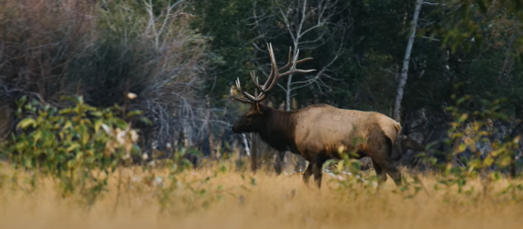 Does hunting make people happy