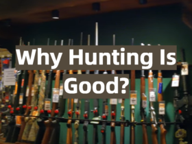 Why Hunting Is Good?