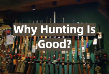 Why Hunting Is Good?
