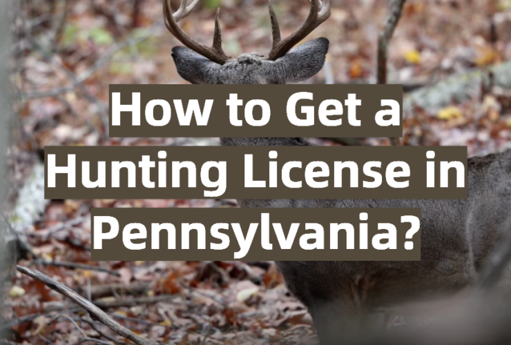 How to Get a Hunting License in Pennsylvania?