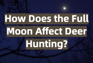 How Does the Full Moon Affect Deer Hunting?